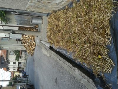 Bulgarie