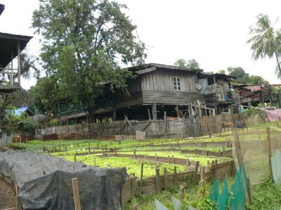 Laos