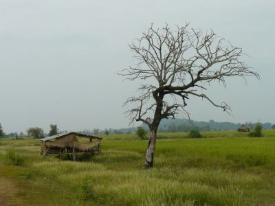 Laos