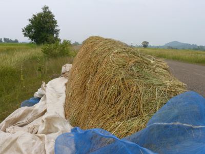 Laos