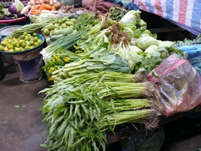 Laos