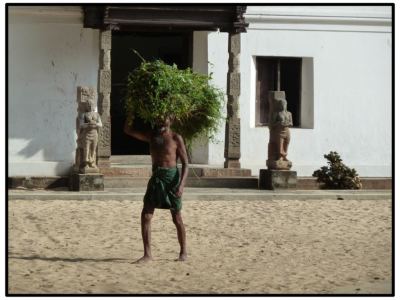 Inde