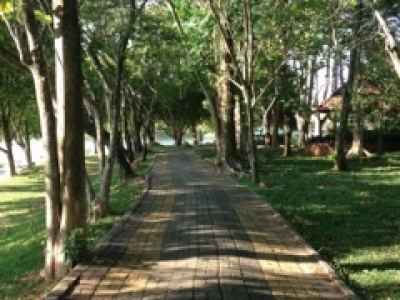 TRANG dans un parc