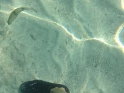 Ko Lipe sunrise beach