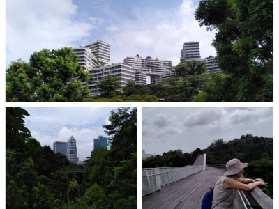 Singapour