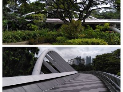 Singapour