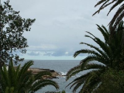 promenade le long des falaises entre Bondi beach et Coogee beach