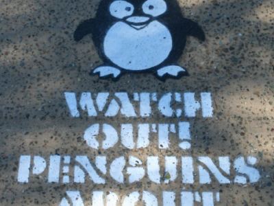 pingouins??