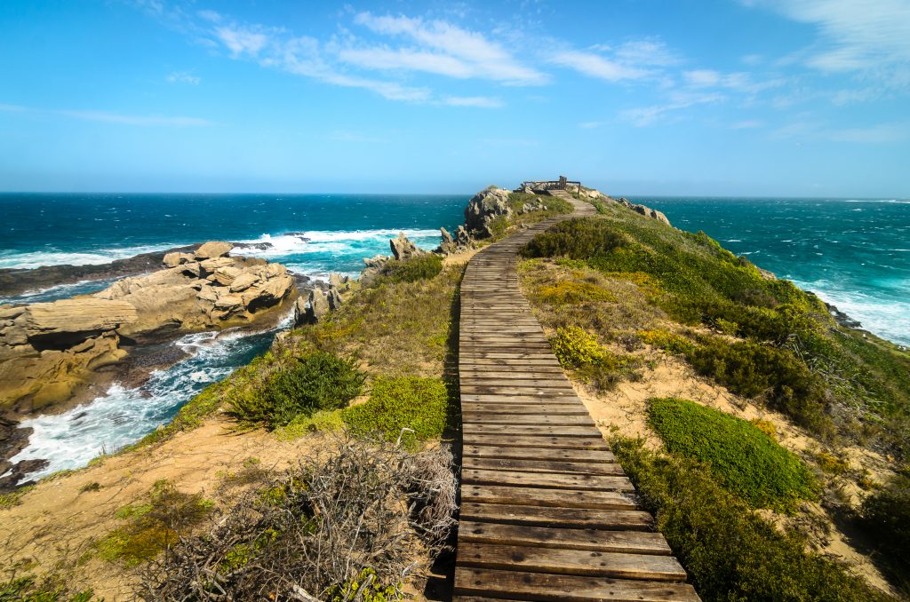 Les Meilleures Activit s Faire Lors De Votre Voyage En Afrique Du Sud les-meilleures-activit-s-faire-lors-de-votre-voyage-en-afrique-du-sud