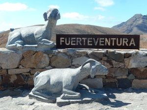 Fuerteventura : Comment trouver ma location idéale ?