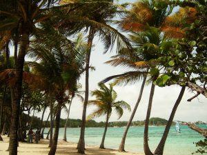 Partir en Guadeloupe en juillet