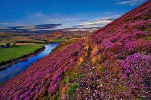 Magnifique paysage de la nature écossaise