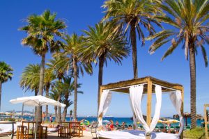 Ibiza Platja En bossa plage avec palmiers