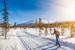 Touriste faisant du ski de fond en Scandinavie au coucher du soleil